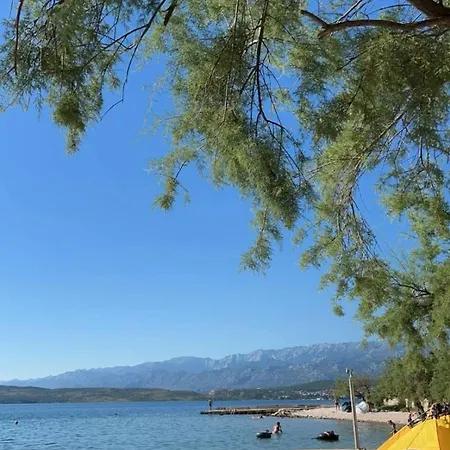 House Calmaria * Novigrad (Dalmatia)