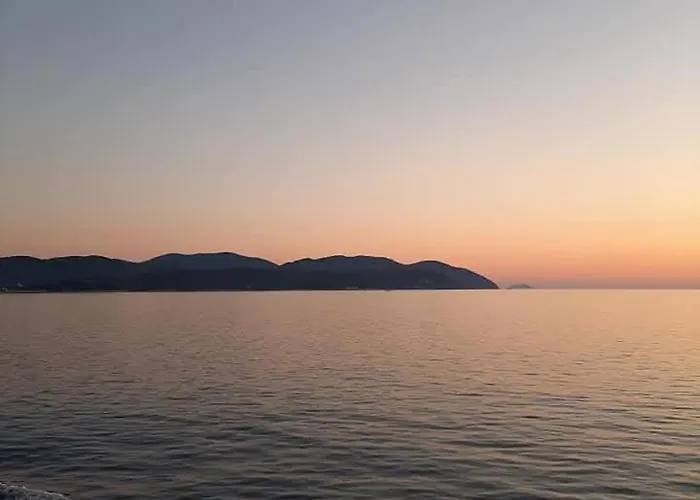 House Calmaria * Novigrad (Dalmatia)