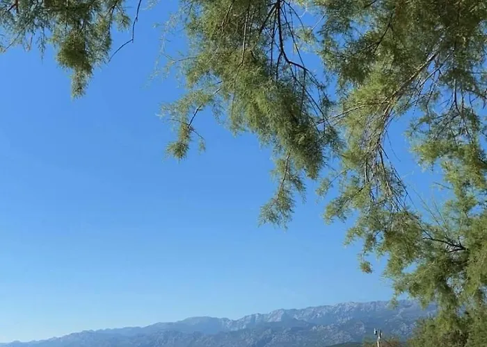 House Calmaria * Novigrad (Dalmatia)